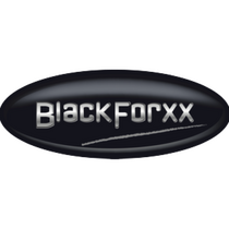 BlackForxx GmbH  Versteigerung
